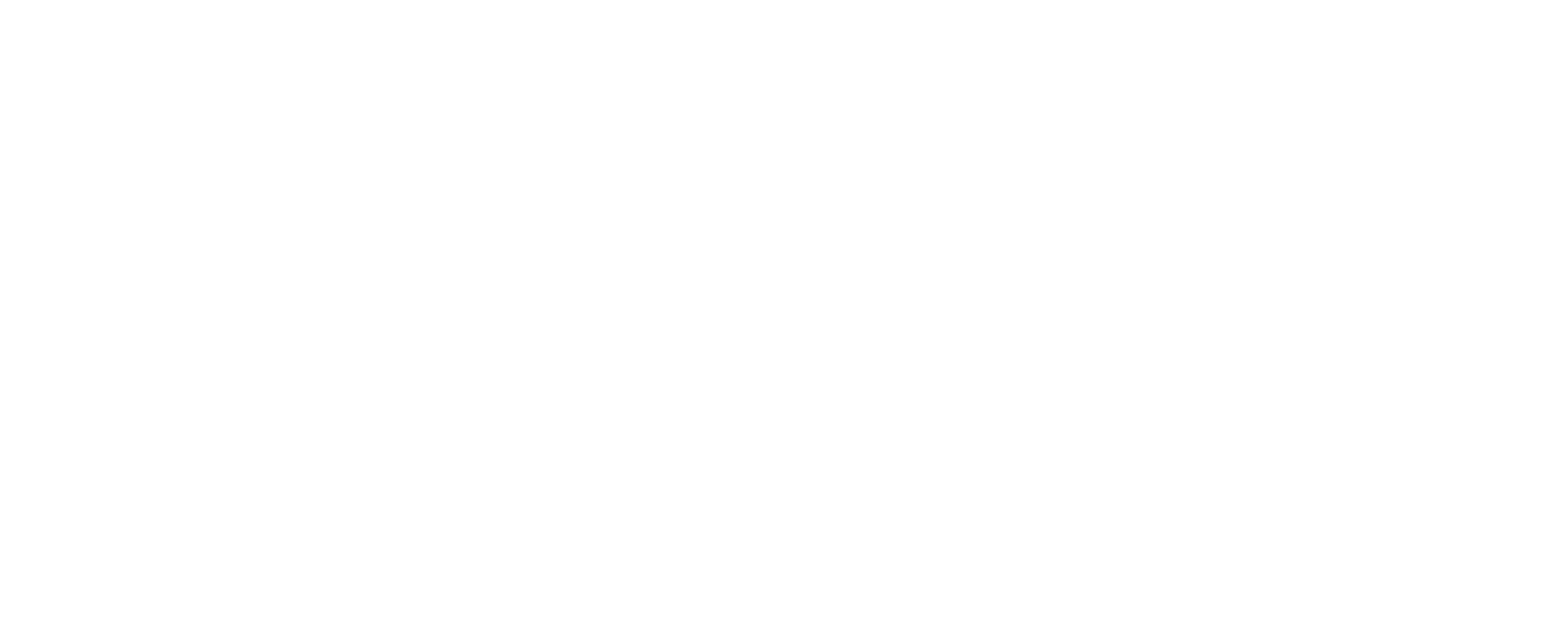 Acorn Logo White